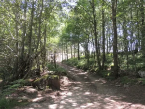 gite la pausetie auvergne environnement 3 1