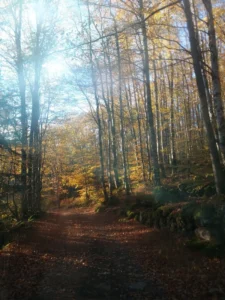 photo gite la pausetie auvergne lastioulles environnement 9