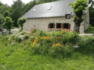 photo gite la pausetie auvergne lastioulles vues exterieures