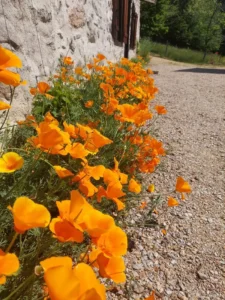 photo gite la pausetie auvergne lastioulles vues exterieures 5