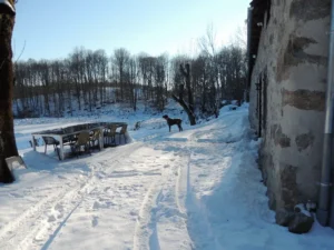 photo gite la pausetie auvergne lastioulles vues exterieures 7